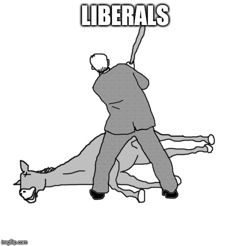 beating a dead horse | LIBERALS | image tagged in beating a dead horse | made w/ Imgflip meme maker