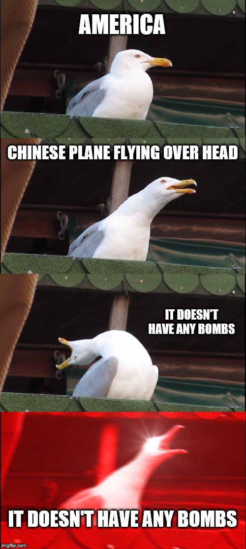 Inhaling Seagull | AMERICA; CHINESE PLANE FLYING OVER HEAD; IT DOESN'T HAVE ANY BOMBS; IT DOESN'T HAVE ANY BOMBS | image tagged in memes,inhaling seagull | made w/ Imgflip meme maker