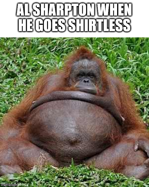 Fat Monkey | AL SHARPTON WHEN HE GOES SHIRTLESS | image tagged in fat monkey,al sharpton,funny | made w/ Imgflip meme maker