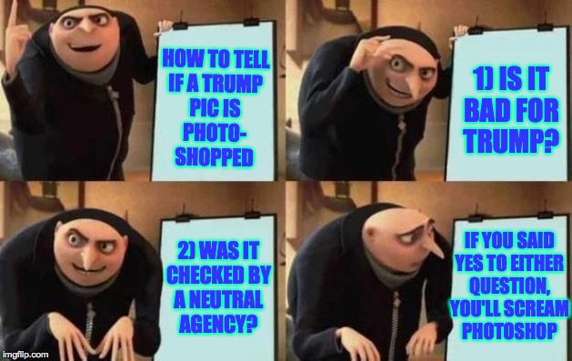 Gru's Plan Meme | HOW TO TELL
IF A TRUMP
PIC IS
PHOTO-
SHOPPED 1) IS IT
BAD FOR
TRUMP? 2) WAS IT
CHECKED BY
A NEUTRAL
AGENCY? IF YOU SAID
YES TO EITHER
QUESTI | image tagged in gru's plan | made w/ Imgflip meme maker