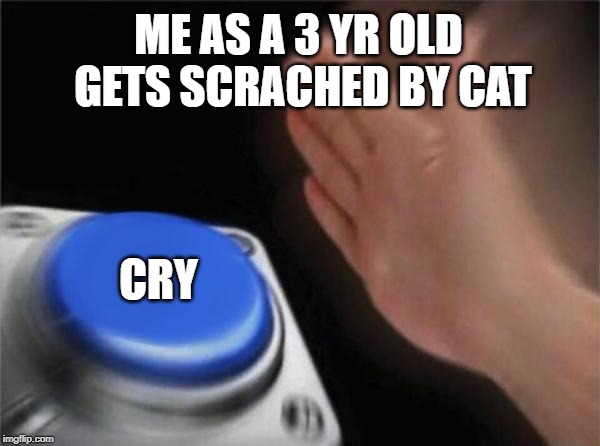 Blank Nut Button | ME AS A 3 YR OLD  GETS SCRACHED BY CAT; CRY | image tagged in memes,blank nut button | made w/ Imgflip meme maker