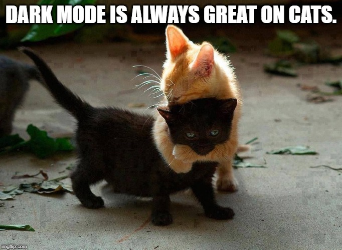 kitten hug | DARK MODE IS ALWAYS GREAT ON CATS. | image tagged in kitten hug | made w/ Imgflip meme maker