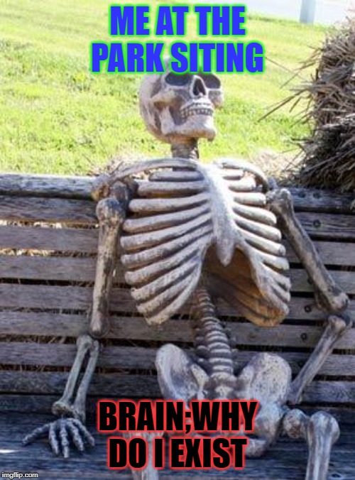 Waiting Skeleton | ME AT THE PARK SITING; BRAIN;WHY DO I EXIST | image tagged in memes,waiting skeleton | made w/ Imgflip meme maker