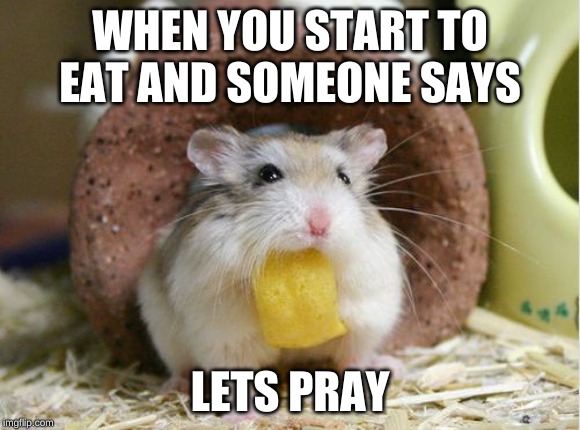 WHEN YOU START TO EAT AND SOMEONE SAYS; LETS PRAY | image tagged in hamster dinner | made w/ Imgflip meme maker