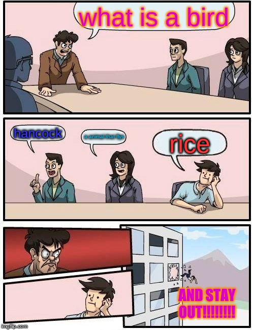 Boardroom Meeting Suggestion Meme | what is a bird; hancock; a animal that flys; rice; AND STAY OUT!!!!!!!! | image tagged in memes,boardroom meeting suggestion | made w/ Imgflip meme maker