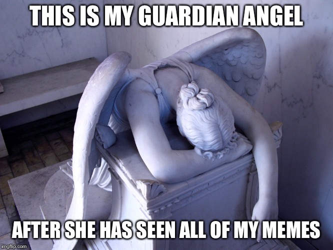 guardian angel | THIS IS MY GUARDIAN ANGEL; AFTER SHE HAS SEEN ALL OF MY MEMES | image tagged in guardian angel | made w/ Imgflip meme maker