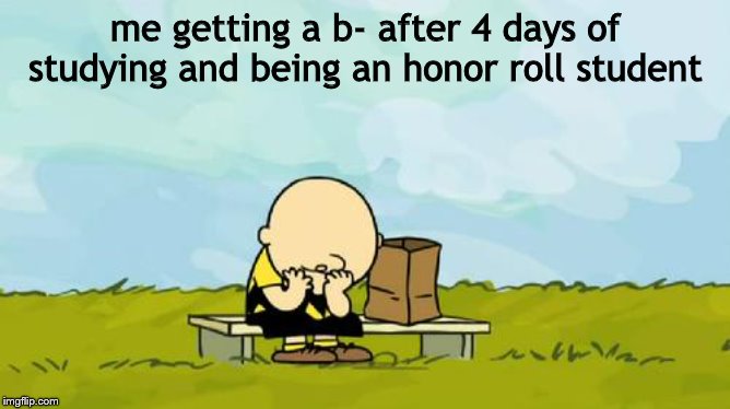 Depressed Charlie Brown | me getting a b- after 4 days of studying and being an honor roll student | image tagged in depressed charlie brown | made w/ Imgflip meme maker
