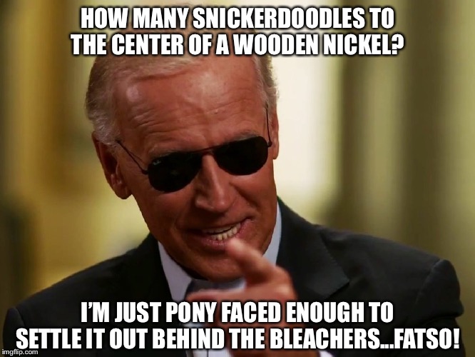 No malarkey! Dangnabitt | HOW MANY SNICKERDOODLES TO THE CENTER OF A WOODEN NICKEL? I’M JUST PONY FACED ENOUGH TO SETTLE IT OUT BEHIND THE BLEACHERS...FATSO! | image tagged in cool joe biden | made w/ Imgflip meme maker