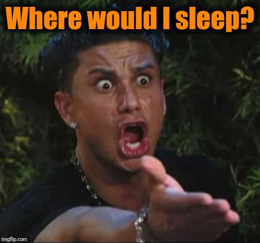 DJ Pauly D Meme | Where would I sleep? | image tagged in memes,dj pauly d | made w/ Imgflip meme maker