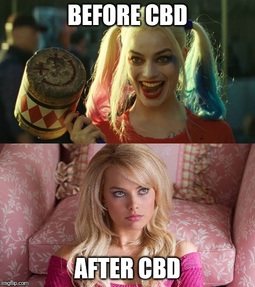 BEFORE CBD; AFTER CBD | image tagged in harley quinn hammer,margot robbie | made w/ Imgflip meme maker