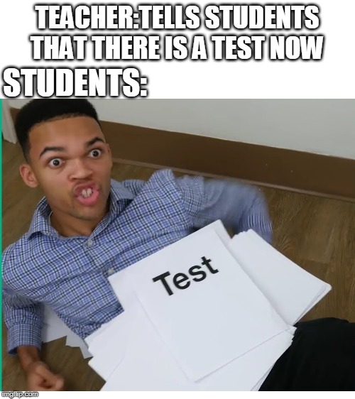 petrified memes | TEACHER:TELLS STUDENTS THAT THERE IS A TEST NOW; STUDENTS: | image tagged in blank white template | made w/ Imgflip meme maker