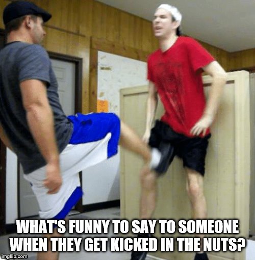 WHAT'S FUNNY TO SAY TO SOMEONE WHEN THEY GET KICKED IN THE NUTS? | image tagged in kick in the nuts | made w/ Imgflip meme maker