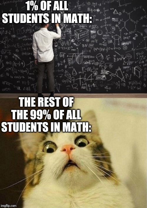 Math: Mental Abuse To Humans | 1% OF ALL STUDENTS IN MATH:; THE REST OF THE 99% OF ALL STUDENTS IN MATH: | image tagged in memes,scared cat,math | made w/ Imgflip meme maker