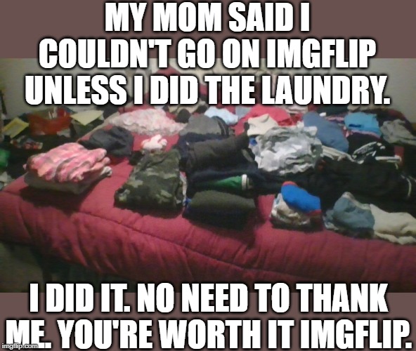 You're worth it Imgflip |  MY MOM SAID I COULDN'T GO ON IMGFLIP UNLESS I DID THE LAUNDRY. I DID IT. NO NEED TO THANK ME. YOU'RE WORTH IT IMGFLIP. | image tagged in memes,funny meme,dank memes,too dank,epic,imgflip | made w/ Imgflip meme maker