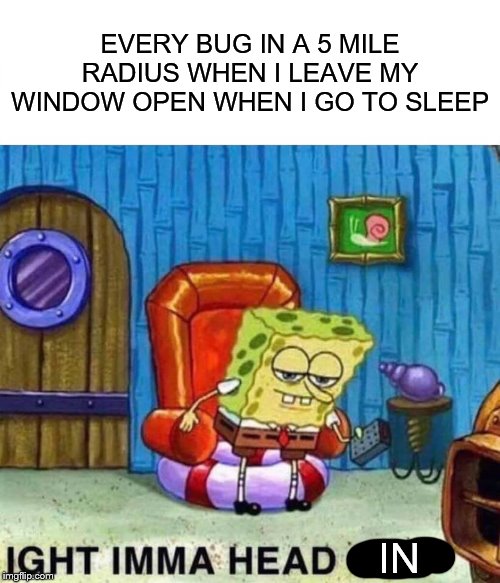 Spongebob Ight Imma Head Out | EVERY BUG IN A 5 MILE RADIUS WHEN I LEAVE MY WINDOW OPEN WHEN I GO TO SLEEP; IN | image tagged in memes,spongebob ight imma head out | made w/ Imgflip meme maker