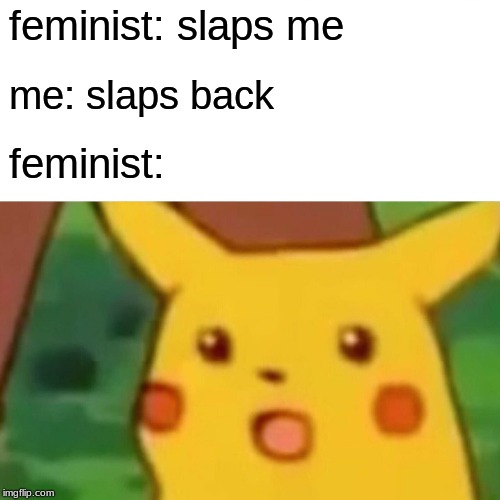 Surprised Pikachu Meme | feminist: slaps me; me: slaps back; feminist: | image tagged in memes,surprised pikachu | made w/ Imgflip meme maker
