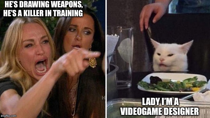 Angry lady cat | HE’S DRAWING WEAPONS, HE’S A KILLER IN TRAINING; LADY I’M A VIDEOGAME DESIGNER | image tagged in angry lady cat | made w/ Imgflip meme maker