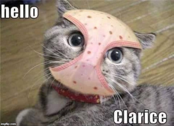 Clarice | image tagged in silence of the lambs,hannibal lector,cat humor | made w/ Imgflip meme maker