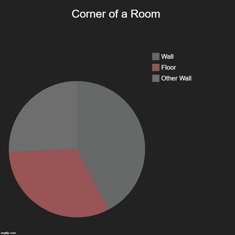 Corner of a Room | Other Wall, Floor, Wall | image tagged in charts,pie charts | made w/ Imgflip chart maker