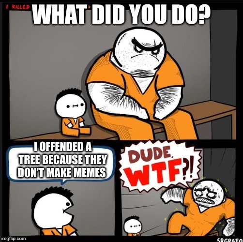 Srgrafo dude wtf | WHAT DID YOU DO? I OFFENDED A TREE BECAUSE THEY DON’T MAKE MEMES | image tagged in srgrafo dude wtf | made w/ Imgflip meme maker