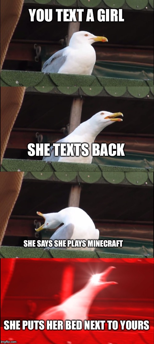 Inhaling Seagull | YOU TEXT A GIRL; SHE TEXTS BACK; SHE SAYS SHE PLAYS MINECRAFT; SHE PUTS HER BED NEXT TO YOURS | image tagged in memes,inhaling seagull | made w/ Imgflip meme maker