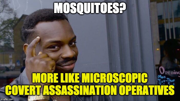 Roll Safe Think About It Meme | MOSQUITOES? MORE LIKE MICROSCOPIC COVERT ASSASSINATION OPERATIVES | image tagged in memes,roll safe think about it | made w/ Imgflip meme maker
