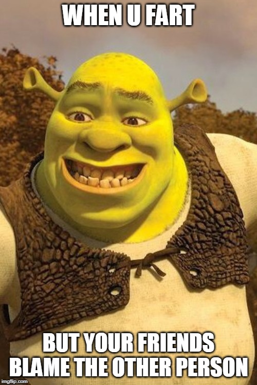 Smiling Shrek |  WHEN U FART; BUT YOUR FRIENDS BLAME THE OTHER PERSON | image tagged in smiling shrek | made w/ Imgflip meme maker