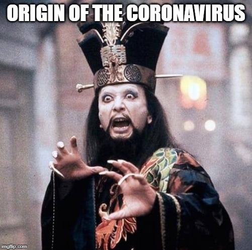 Origin of the Coronavirus | ORIGIN OF THE CORONAVIRUS | image tagged in coronavirus,lo-pan,lopan,big trouble in little china,lo pan,corona virus | made w/ Imgflip meme maker