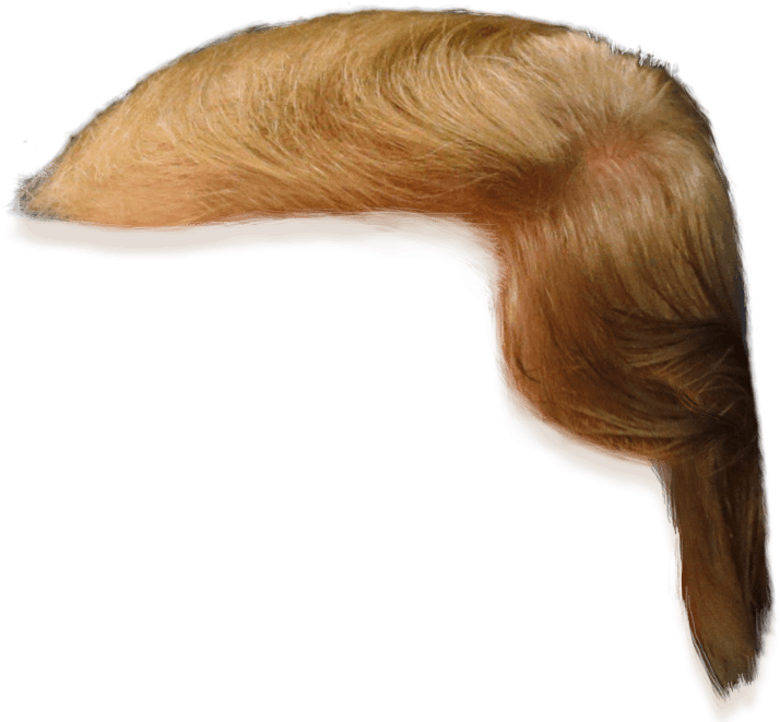 Trump hair Blank Meme Template