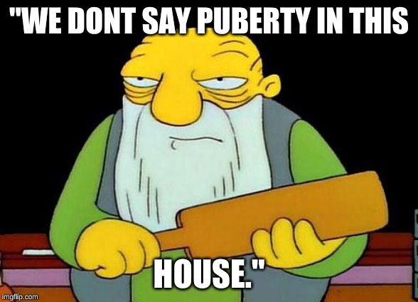 That's a paddlin' Meme | "WE DONT SAY PUBERTY IN THIS; HOUSE." | image tagged in memes,that's a paddlin' | made w/ Imgflip meme maker