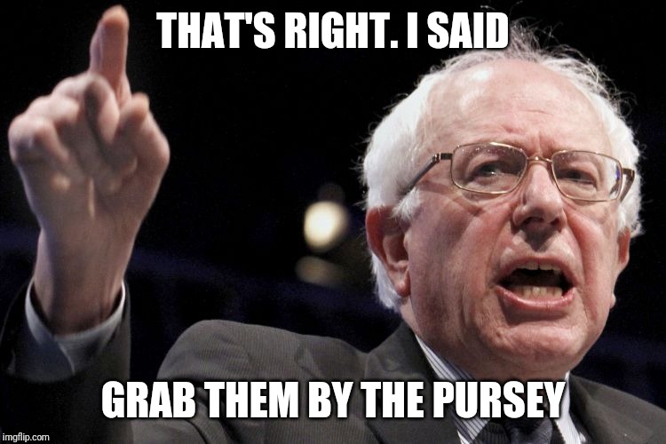 Bernie Sanders | THAT'S RIGHT. I SAID GRAB THEM BY THE PURSEY | image tagged in bernie sanders | made w/ Imgflip meme maker