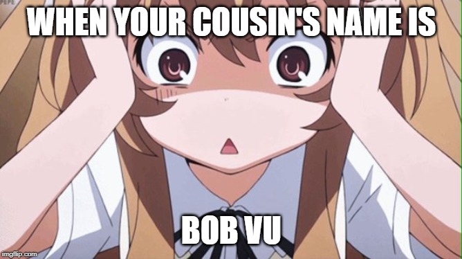 anime realization | WHEN YOUR COUSIN'S NAME IS; BOB VU | image tagged in anime realization | made w/ Imgflip meme maker