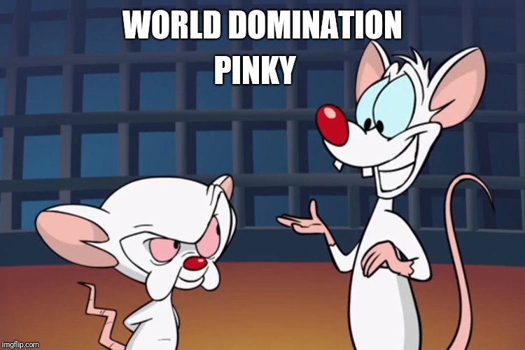 Pinky and the Brain PINKY; WORLD DOMINATION image tagged in pinky a...