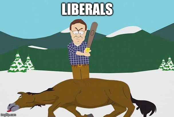 Beating a dead horse | LIBERALS | image tagged in beating a dead horse | made w/ Imgflip meme maker