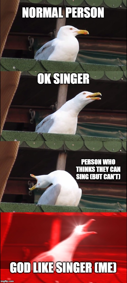 Inhaling Seagull Meme | NORMAL PERSON; OK SINGER; PERSON WHO THINKS THEY CAN SING (BUT CAN'T); GOD LIKE SINGER (ME) | image tagged in memes,inhaling seagull | made w/ Imgflip meme maker