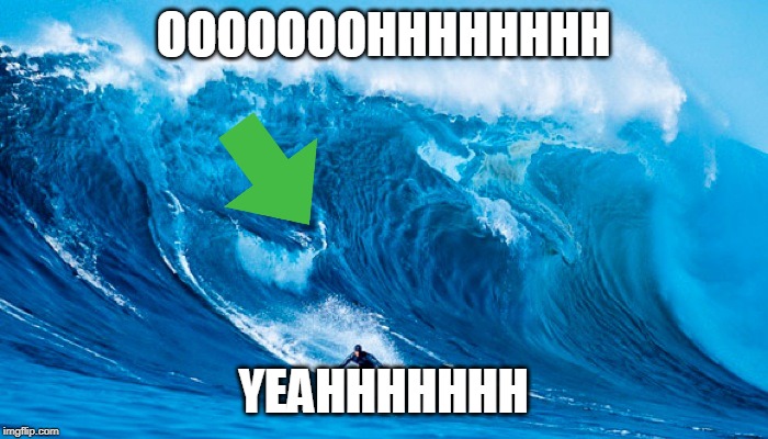 Tsunami Surfer | OOOOOOOHHHHHHHH YEAHHHHHHH | image tagged in tsunami surfer | made w/ Imgflip meme maker