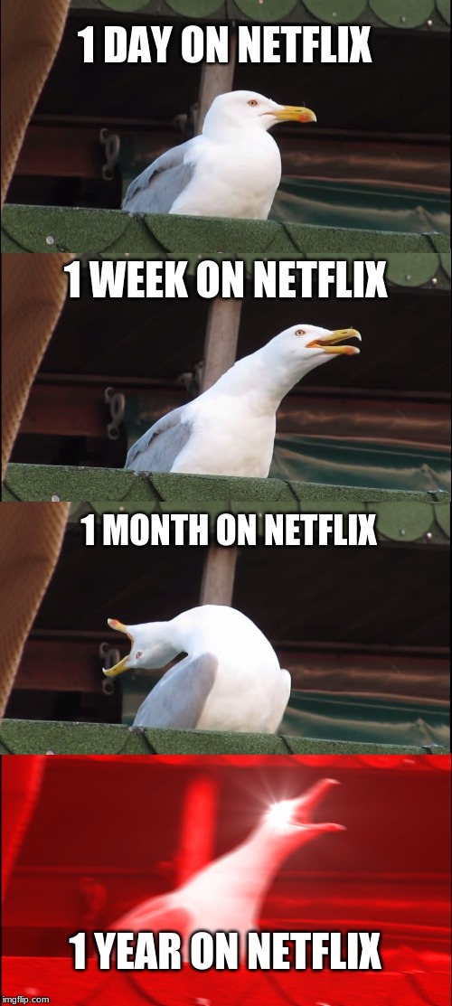 Inhaling Seagull | 1 DAY ON NETFLIX; 1 WEEK ON NETFLIX; 1 MONTH ON NETFLIX; 1 YEAR ON NETFLIX | image tagged in memes,inhaling seagull | made w/ Imgflip meme maker