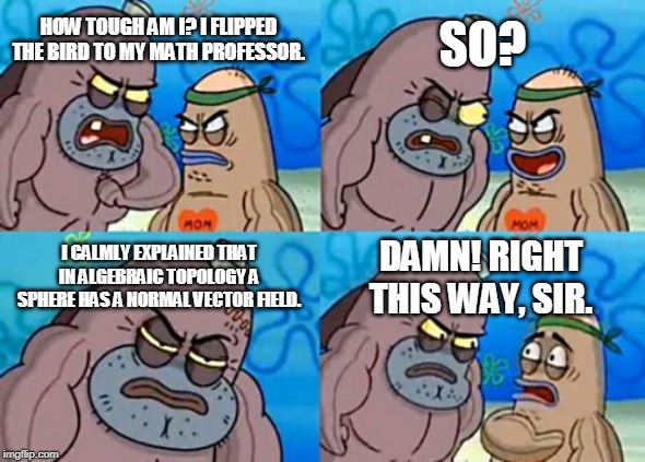 How Tough Are You Meme | SO? HOW TOUGH AM I? I FLIPPED THE BIRD TO MY MATH PROFESSOR. I CALMLY EXPLAINED THAT IN ALGEBRAIC TOPOLOGY A SPHERE HAS A NORMAL VECTOR FIELD. DAMN! RIGHT THIS WAY, SIR. | image tagged in memes,how tough are you | made w/ Imgflip meme maker