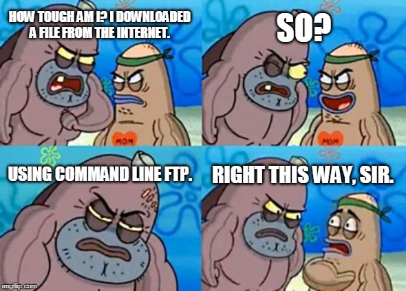 How Tough Are You | SO? HOW TOUGH AM I? I DOWNLOADED A FILE FROM THE INTERNET. USING COMMAND LINE FTP. RIGHT THIS WAY, SIR. | image tagged in memes,how tough are you | made w/ Imgflip meme maker