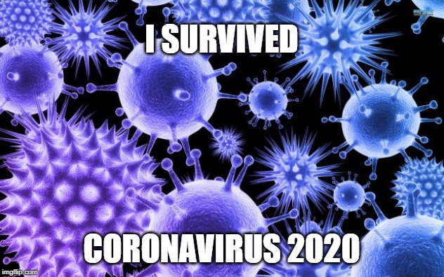Virus | I SURVIVED; CORONAVIRUS 2020 | image tagged in virus | made w/ Imgflip meme maker