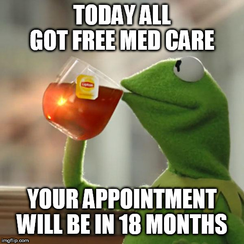 But That's None Of My Business Meme | TODAY ALL GOT FREE MED CARE; YOUR APPOINTMENT WILL BE IN 18 MONTHS | image tagged in memes,but thats none of my business,kermit the frog | made w/ Imgflip meme maker