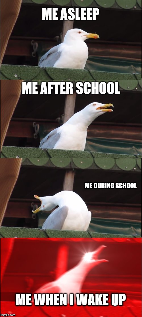 Inhaling Seagull | ME ASLEEP; ME AFTER SCHOOL; ME DURING SCHOOL; ME WHEN I WAKE UP | image tagged in memes,inhaling seagull | made w/ Imgflip meme maker