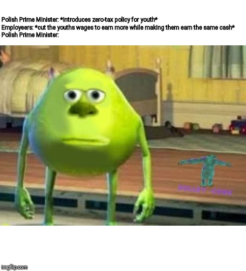 mike wazowski face swap | Polish Prime Minister: *introduces zero-tax policy for youth*
Employeers: *cut the youths wages to earn more while making them earn the same cash*
Polish Prime Minister: | image tagged in mike wazowski face swap | made w/ Imgflip meme maker