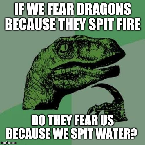 Really, do they? | IF WE FEAR DRAGONS BECAUSE THEY SPIT FIRE; DO THEY FEAR US BECAUSE WE SPIT WATER? | image tagged in memes,philosoraptor,funny,dragon,human,fear | made w/ Imgflip meme maker