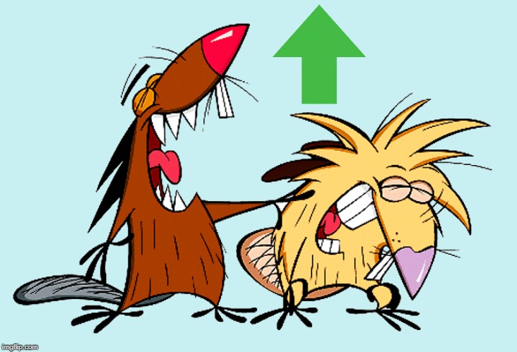 angry beavers | image tagged in angry beavers | made w/ Imgflip meme maker