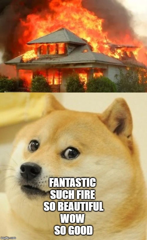 FANTASTIC 
SUCH FIRE 
SO BEAUTIFUL
WOW 
SO GOOD | image tagged in memes,doge | made w/ Imgflip meme maker