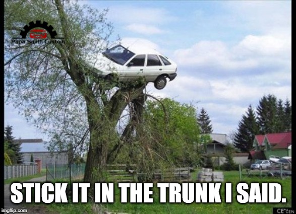 One for the Americans. | STICK IT IN THE TRUNK I SAID. | image tagged in car tree fail,trunk,bad parking,bad drivers,tree,boot | made w/ Imgflip meme maker