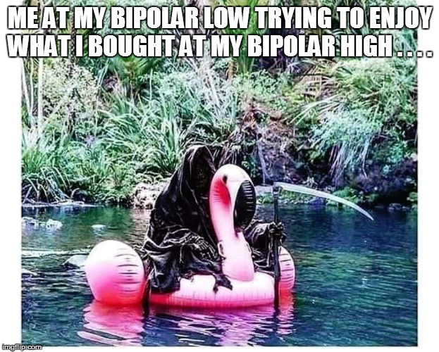  ME AT MY BIPOLAR LOW TRYING TO ENJOY WHAT I BOUGHT AT MY BIPOLAR HIGH . . . . | image tagged in funny,funny memes,funny meme,too funny,lol,bad pun | made w/ Imgflip meme maker