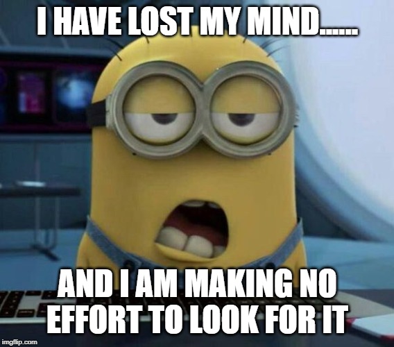 Sleepy Minion | I HAVE LOST MY MIND...... AND I AM MAKING NO EFFORT TO LOOK FOR IT | image tagged in sleepy minion | made w/ Imgflip meme maker