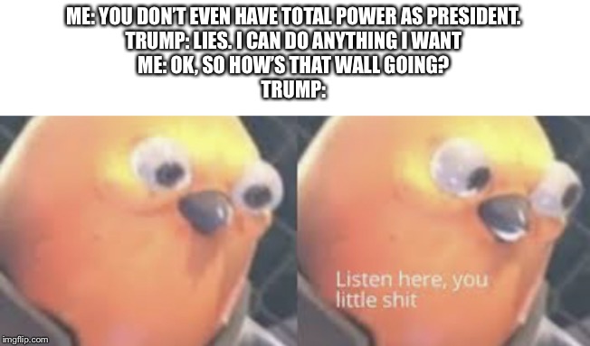 Listen here you little shit bird | ME: YOU DON’T EVEN HAVE TOTAL POWER AS PRESIDENT.
TRUMP: LIES. I CAN DO ANYTHING I WANT
ME: OK, SO HOW’S THAT WALL GOING?
TRUMP: | image tagged in listen here you little shit bird | made w/ Imgflip meme maker